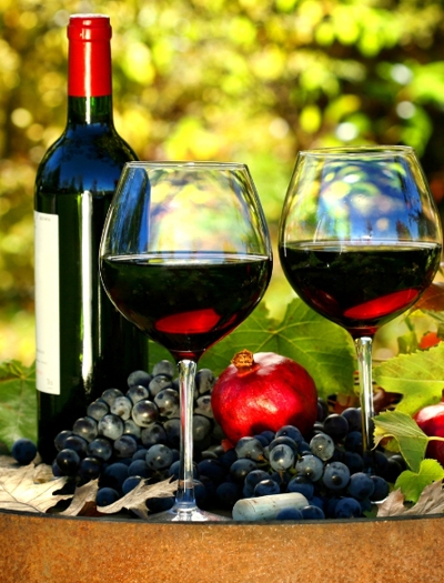 梅州干红葡萄酒招商加盟